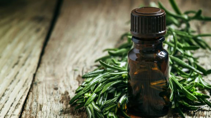 Những điều cần chú ý khi sử dụng Tea Tree Oil để trị mụn